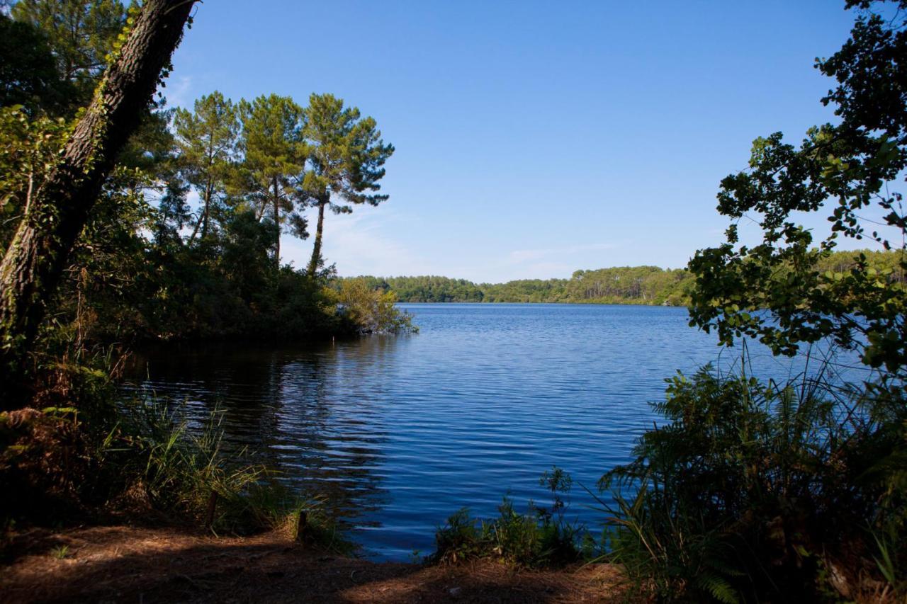 Bel Cosy Dans Résidence Avec Piscine 5 Minutes Appartamento Messanges (Landes)